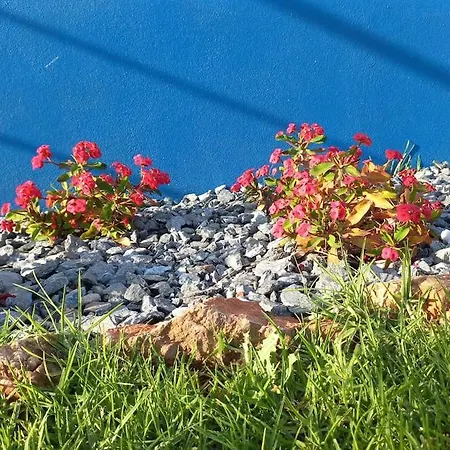 Casa Citrus Limao - Between The Hills & The Ocean Villa *