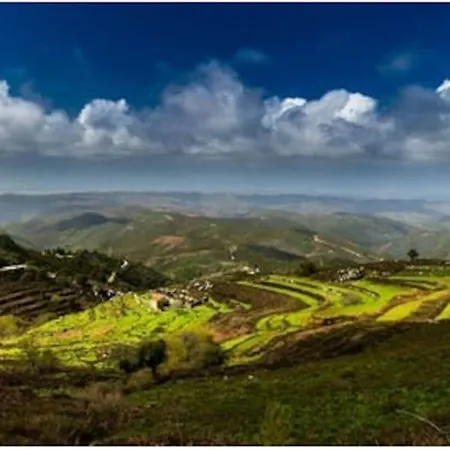 Villa Casa Citrus Limao - Between The Hills & The Ocean