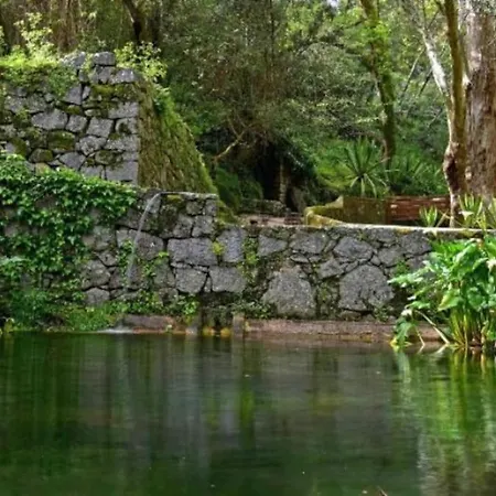 Casa Citrus Limao - Between The Hills & The Ocean *