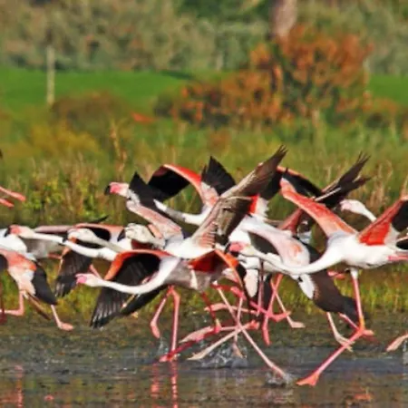 Casa Citrus Limao - Between The Hills & The Ocean Villa