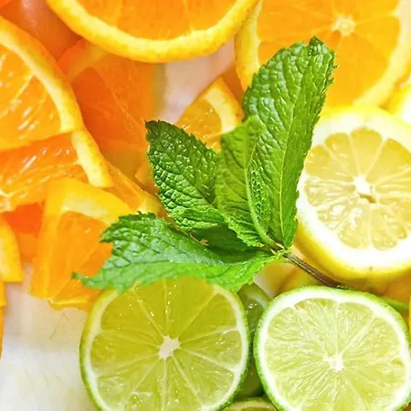 Casa Citrus Limao - Between The Hills & The Ocean *