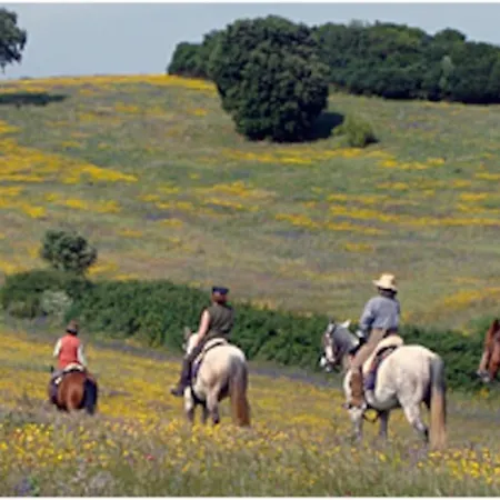 Casa Citrus Limao - Between The Hills & The Ocean Silves